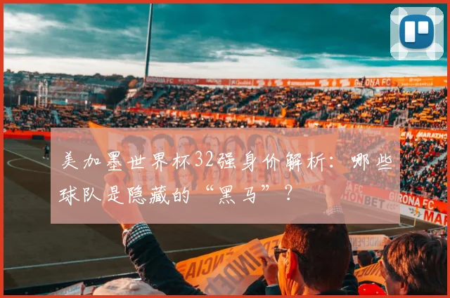 美加墨世界杯32强身价解析：哪些球队是隐藏的“黑马”？